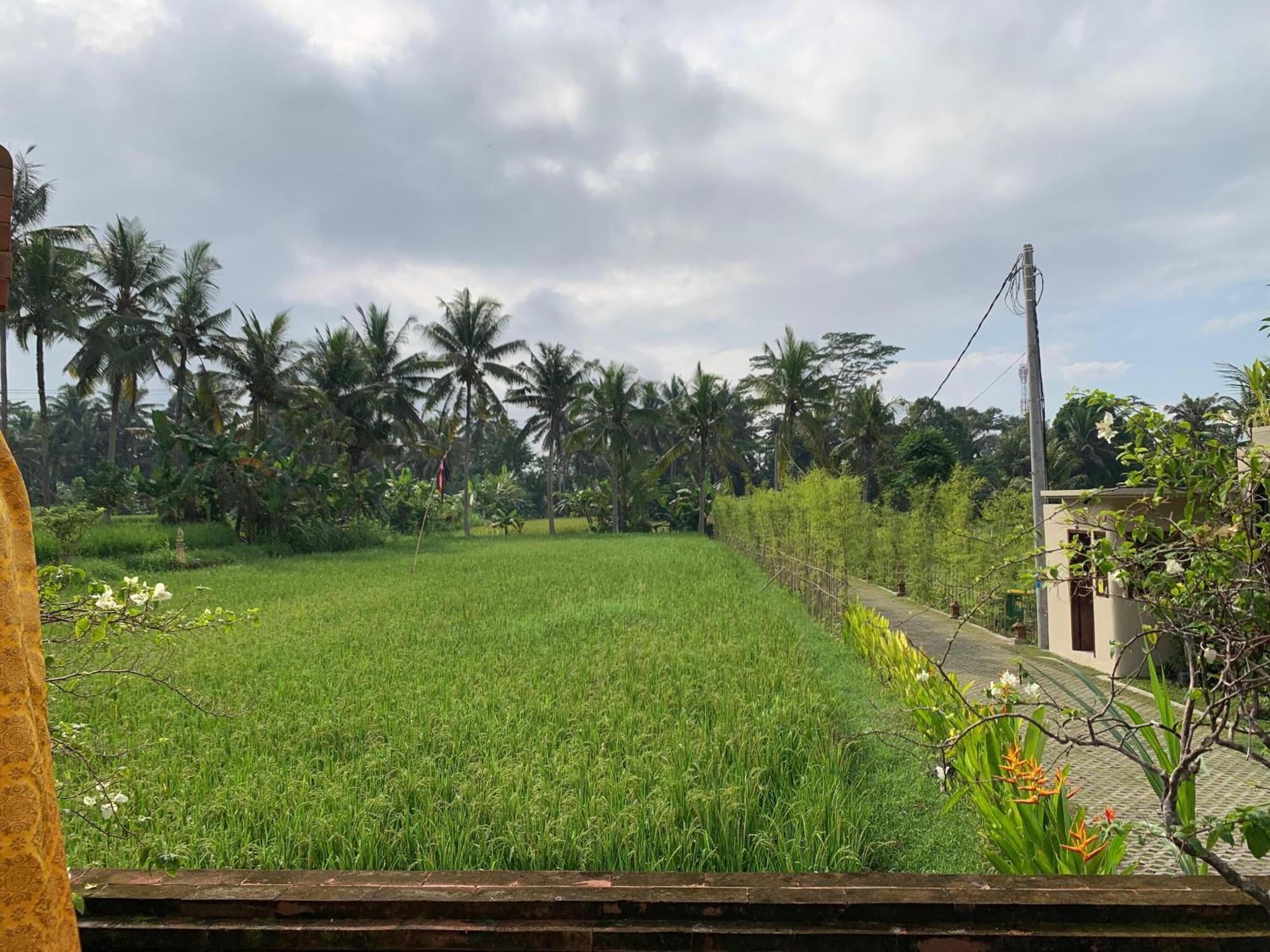 Adi Laxmi Villa Ubud Exterior photo