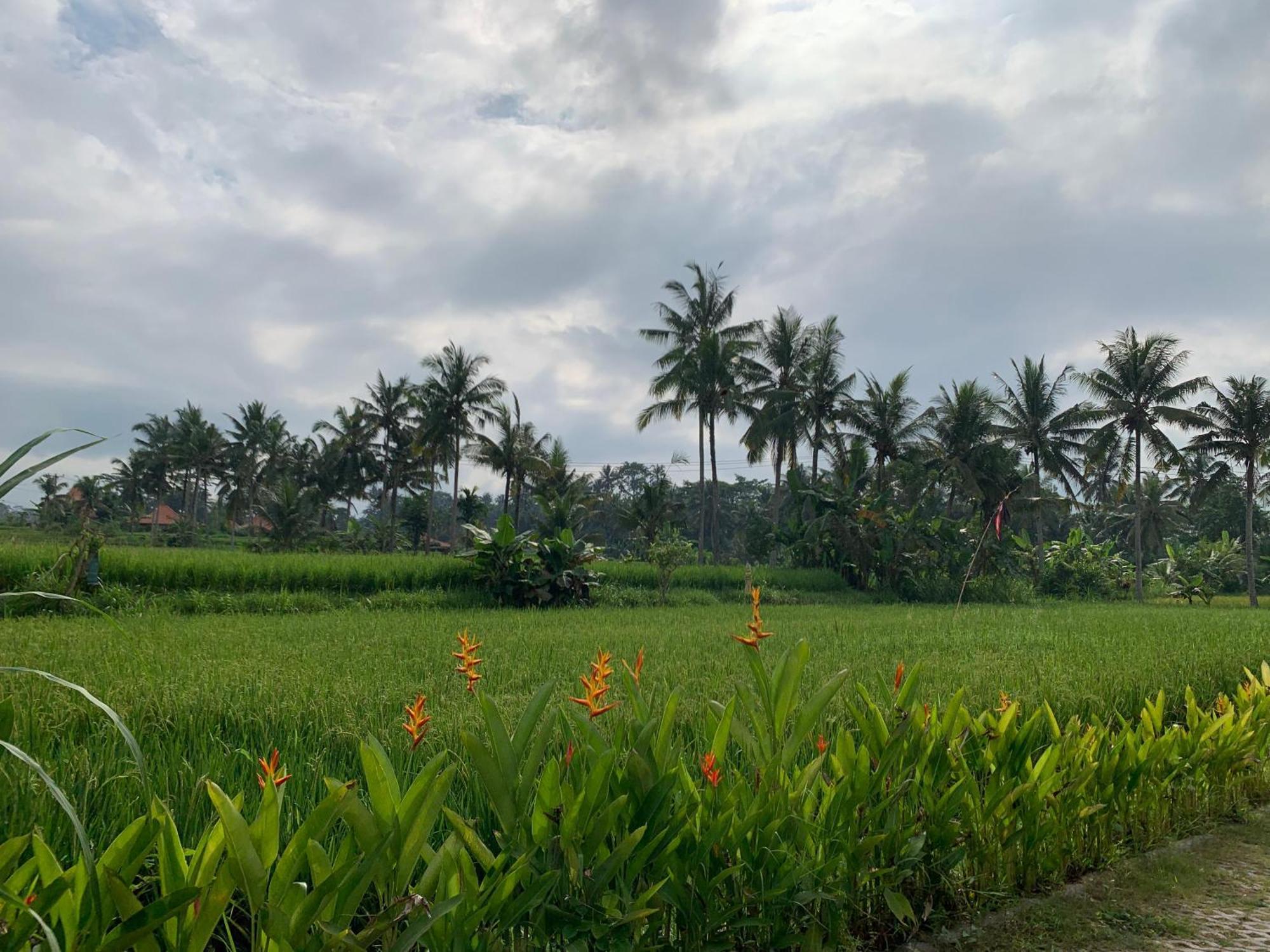 Adi Laxmi Villa Ubud Exterior photo
